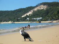 Moreton Island