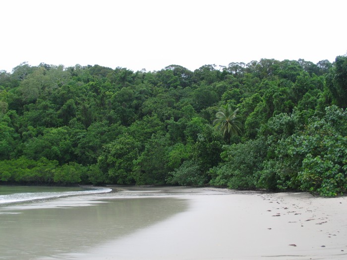 Cape Tribulation beach