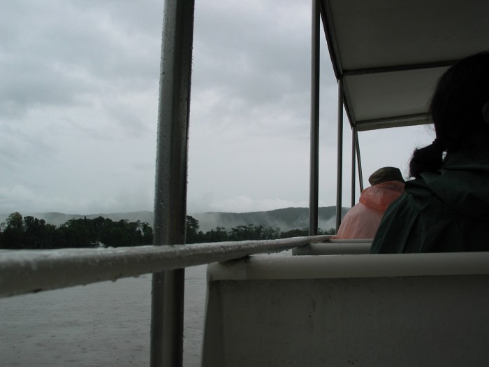 Daintree River cruise