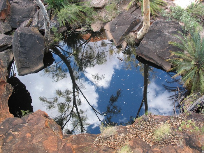 Waterhole in the hot desert