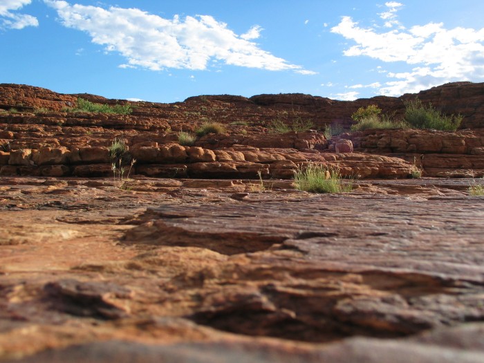 Watarrka National Park