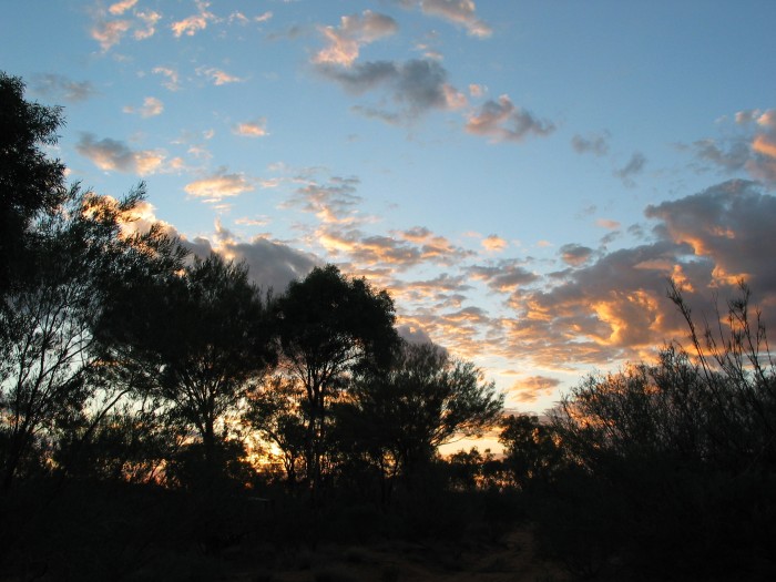 Sunset in the bush