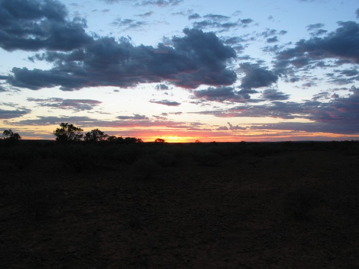 Sunset in the bush