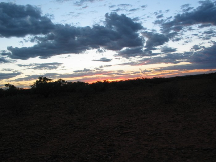 Sunset in the bush