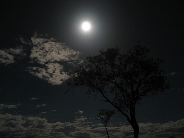 Night picture in the desert