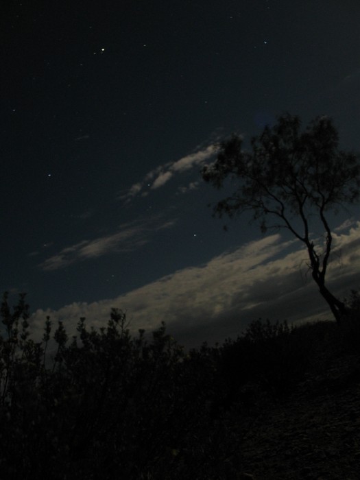 Night picture in the desert