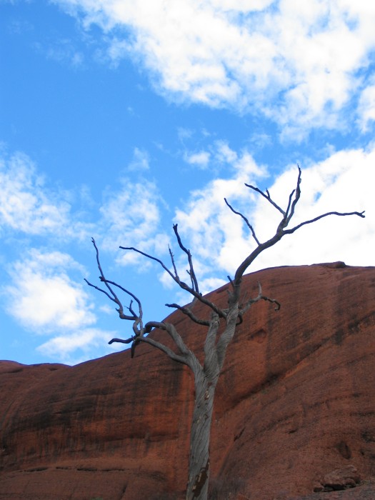 Kata Tjuta