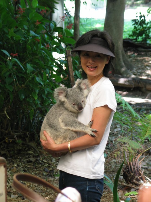 Cuddle a koala !