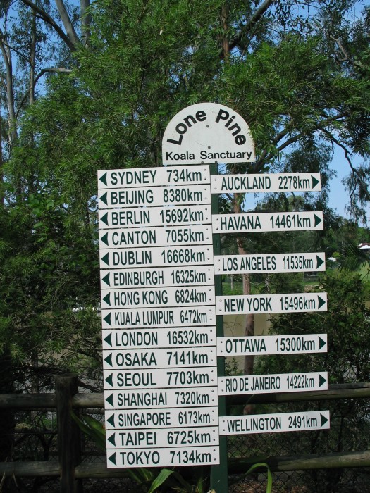 Lone Pine Koala sanctuary